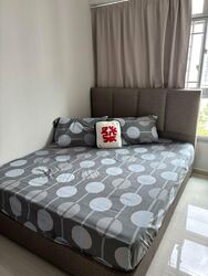 Blk 615C Punggol Spring (Punggol), HDB 4 Rooms #448452861